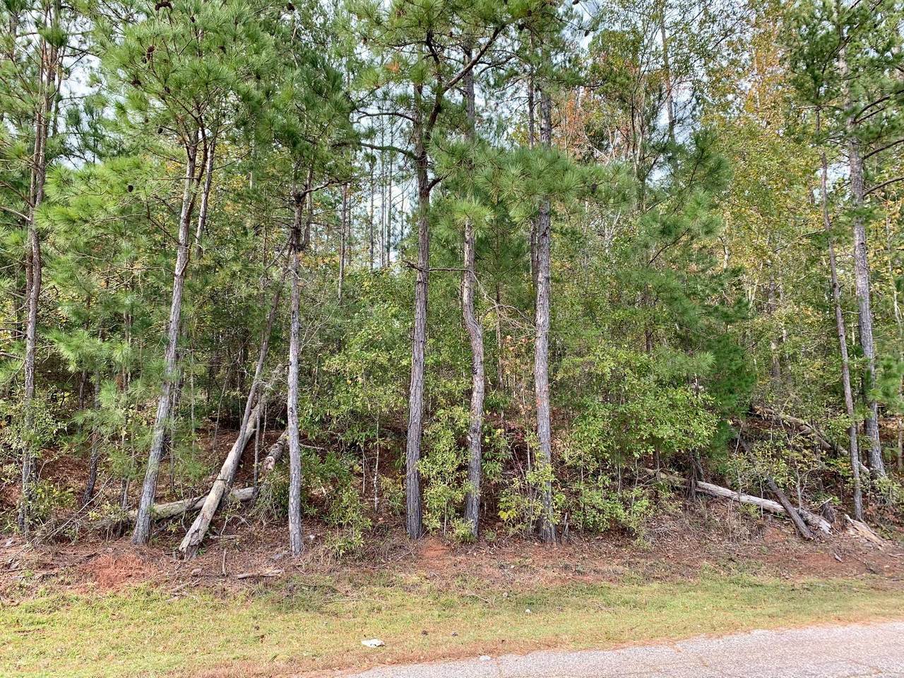 3+/- Acres Old Millers Ferry Road - Photo 1