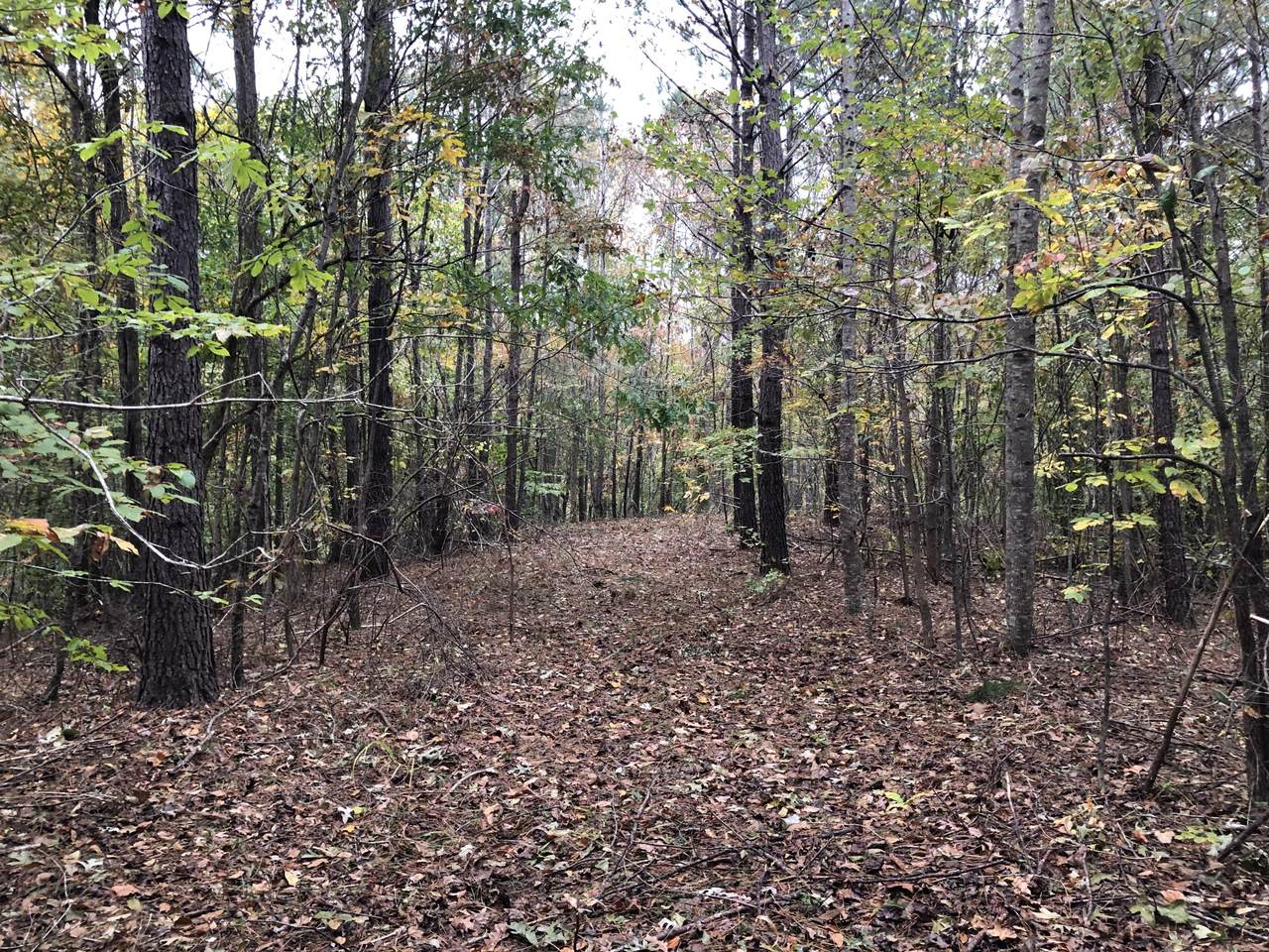 County Rd 79 - Photo 1