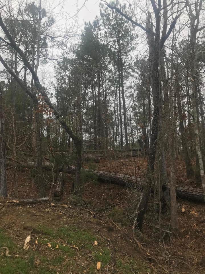 Lots 6 & 7 Manoy Creek - Photo 1