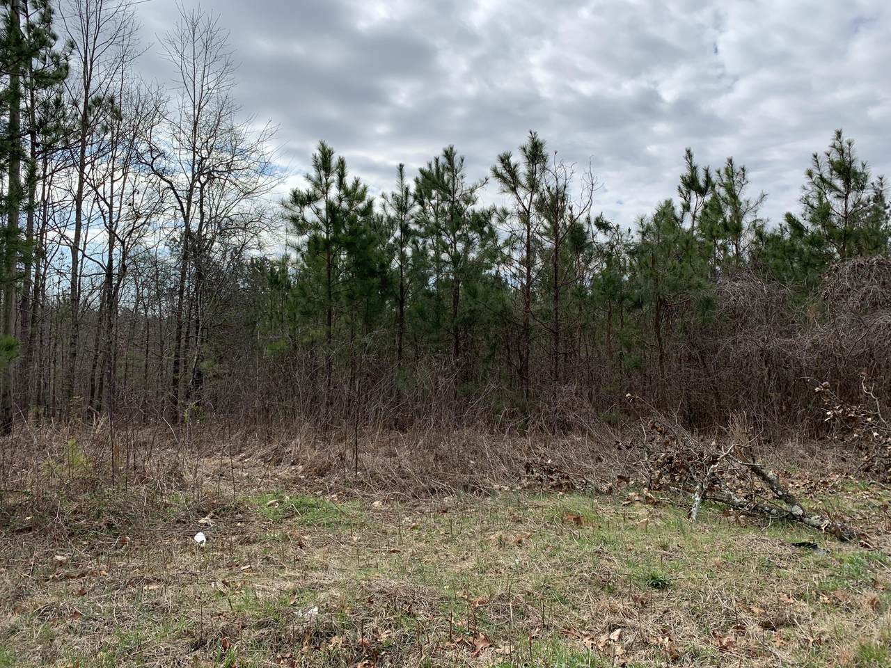 0 Co Rd 25 - Photo 1