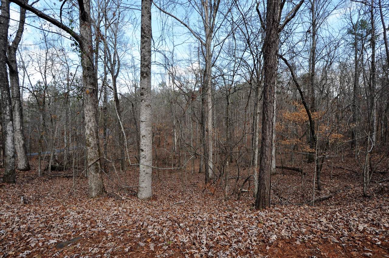 Lot 21 Big Horn Lane - Photo 1