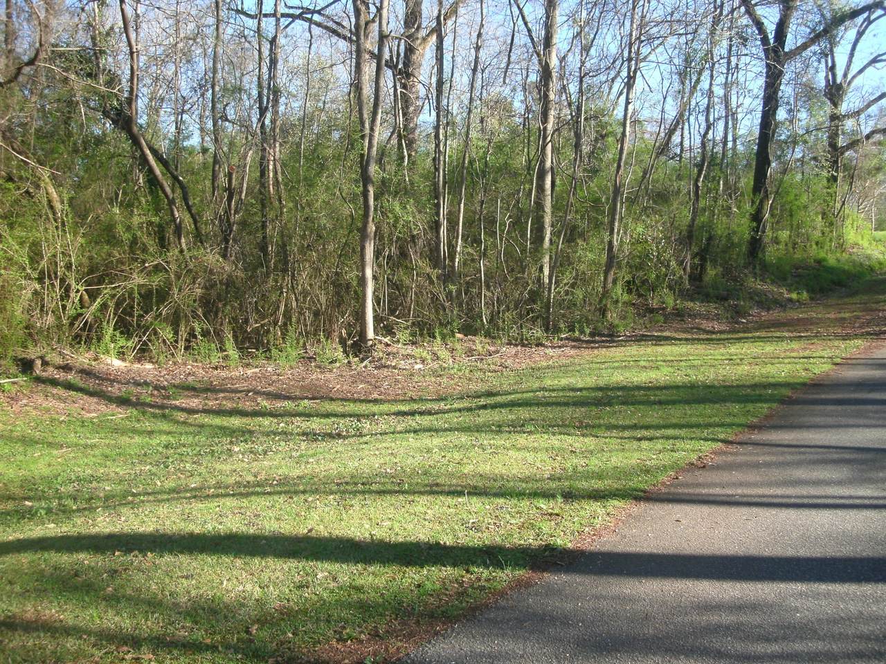 Clay Sty - Photo 1