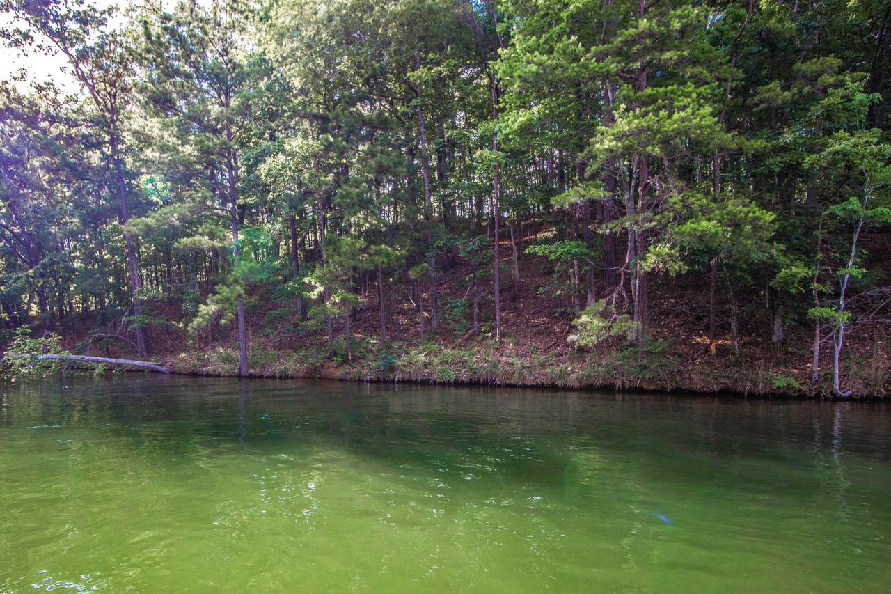 Lot 38 Kennebec - Photo 1
