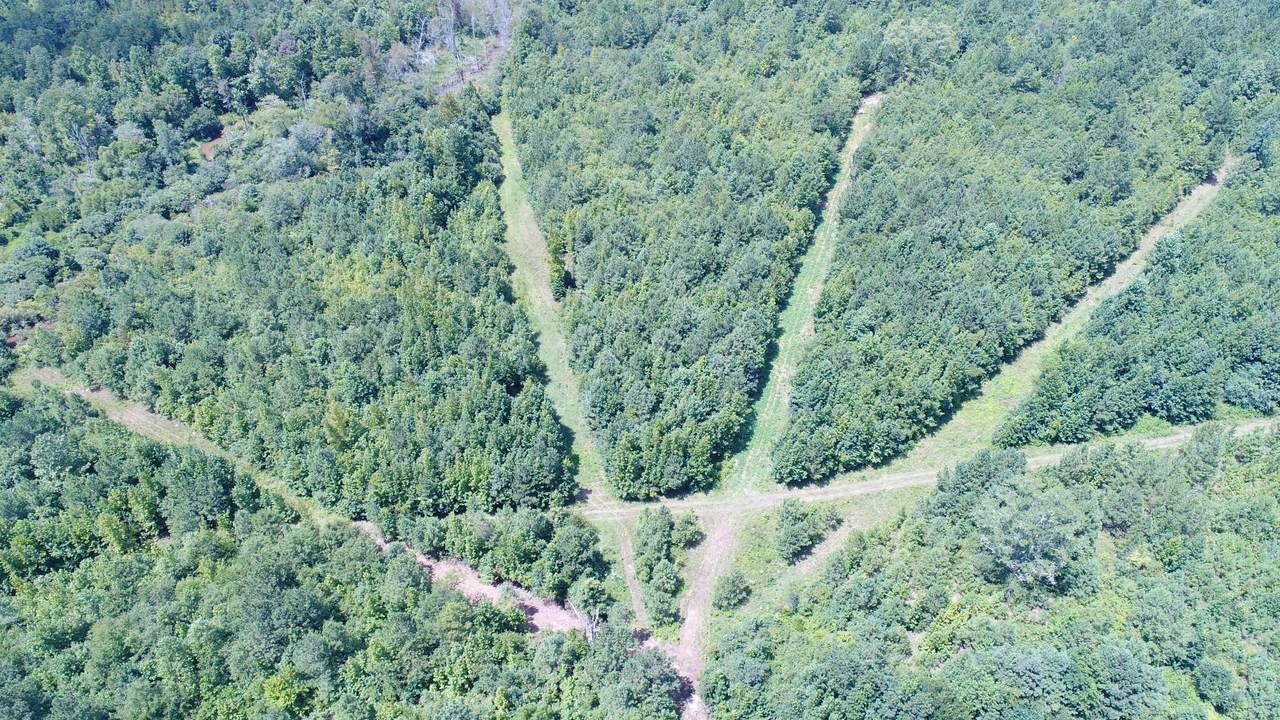 Coosa Co 26 - Photo 1