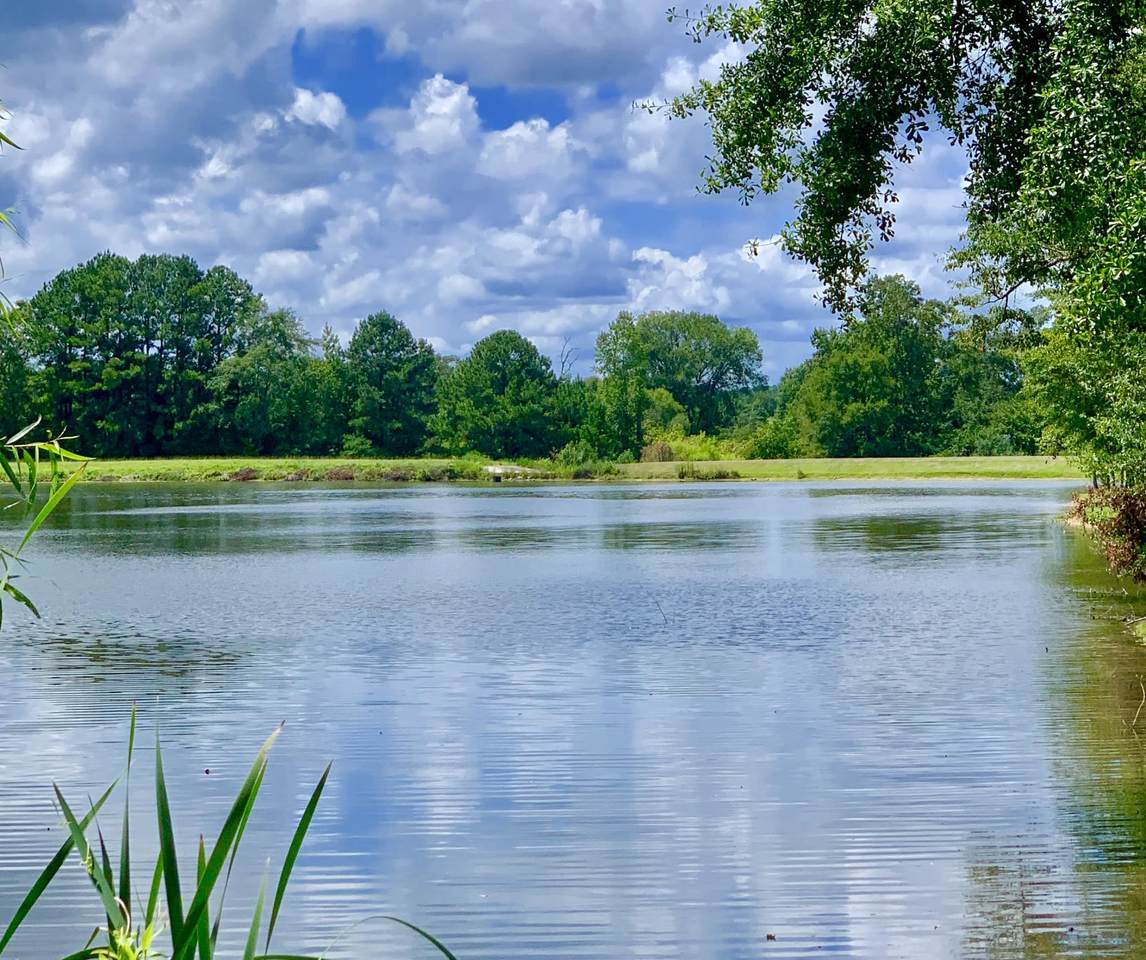 https://bt-photos.global.ssl.fastly.net/lakemartin/1280_boomver_1_21-1324-2.jpg