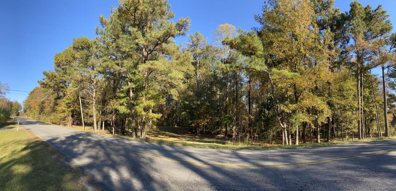 5530 Pearson Chapel Road - Photo 1