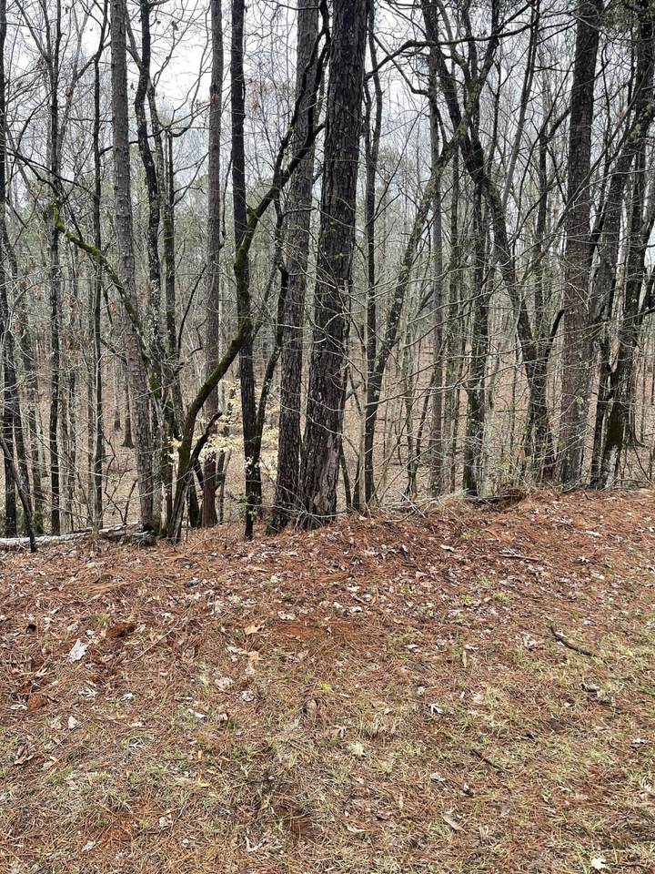Lot 21 Big Horn Ln - Photo 1