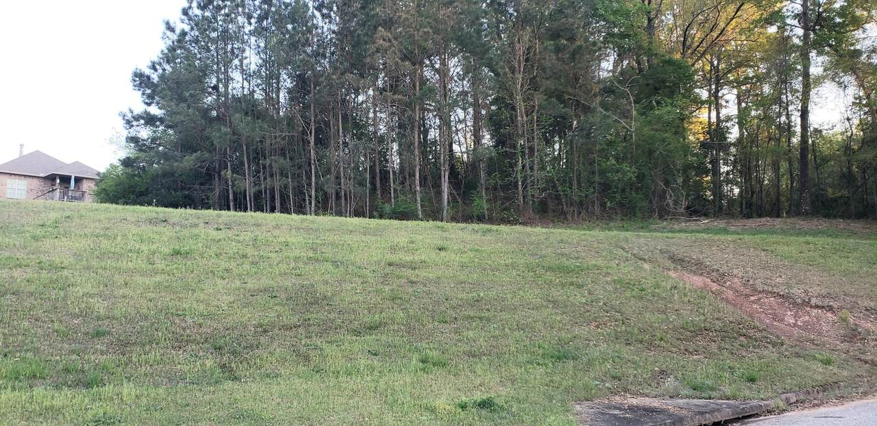 LOT 2 Riverhills Crt - Photo 1