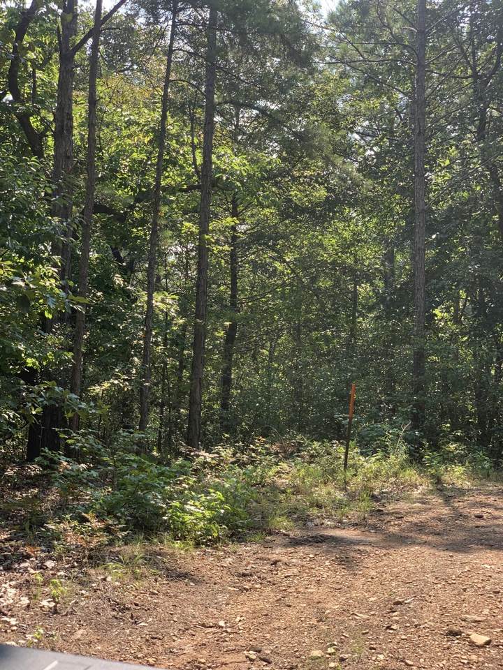 14 Acres Off Ennis Hill - Photo 1