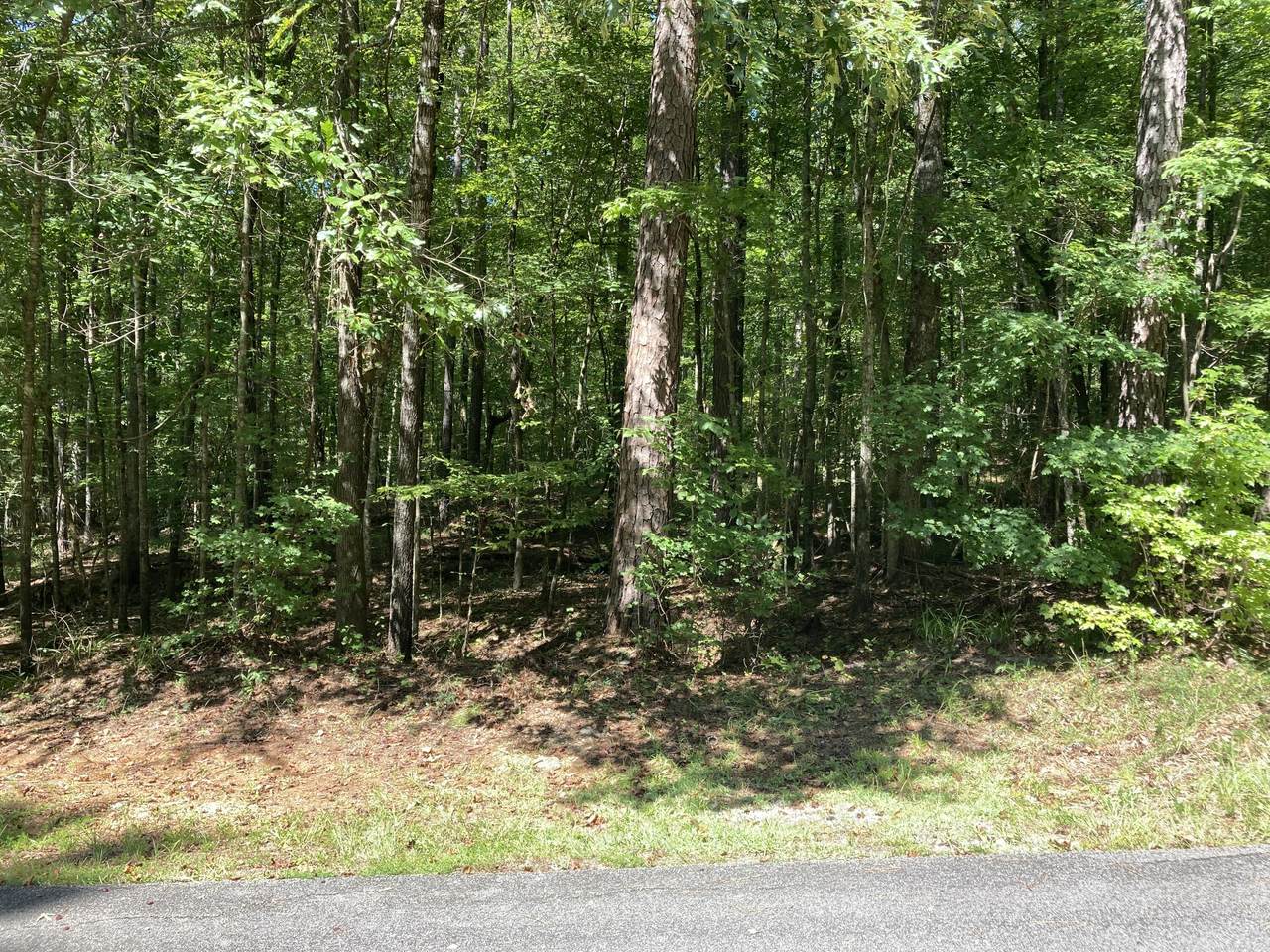 00 Fern Ridge Ln - Photo 1