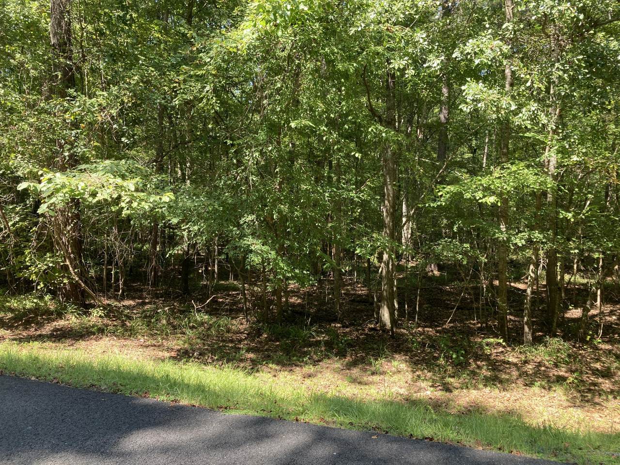 000 Fern Ridge Ln - Photo 1
