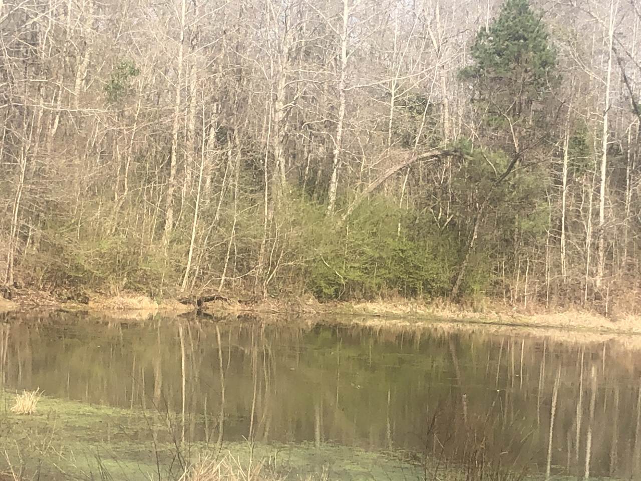 +/-1.15 Acres Lincoln Heights - Photo 1