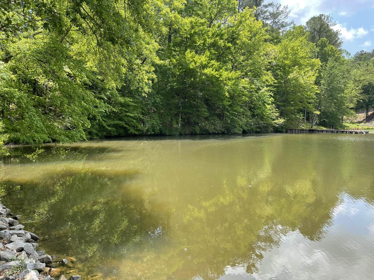 Lot 11 Old Hickory Rd - Photo 1