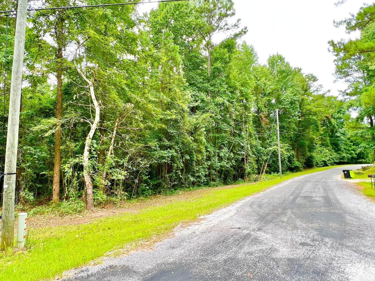 Lot 26 Menowa Dr - Photo 1
