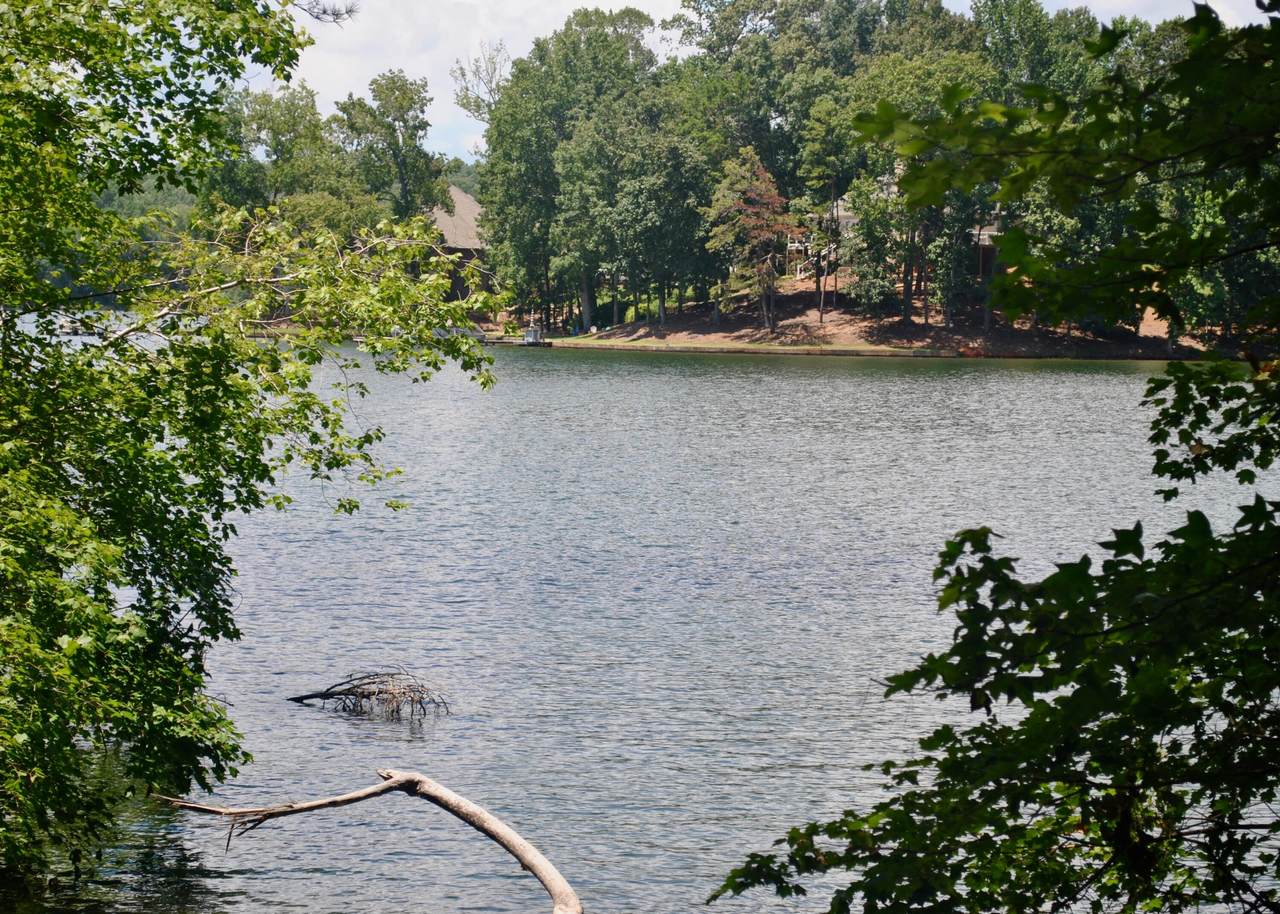 Lot 15 Mountain Laurel Cir - Photo 1