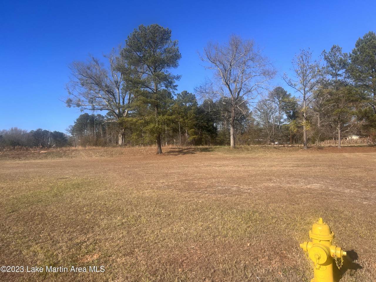 5.2+/- Ac. Hwy 280 - Photo 1