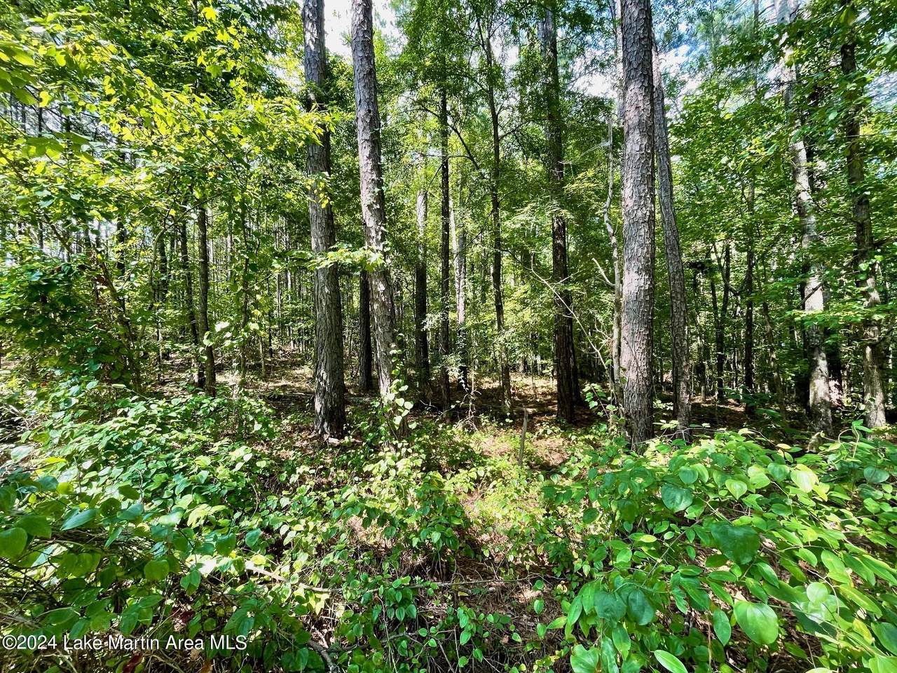 https://bt-photos.global.ssl.fastly.net/lakemartin/1280_boomver_1_24-1036-2.jpg