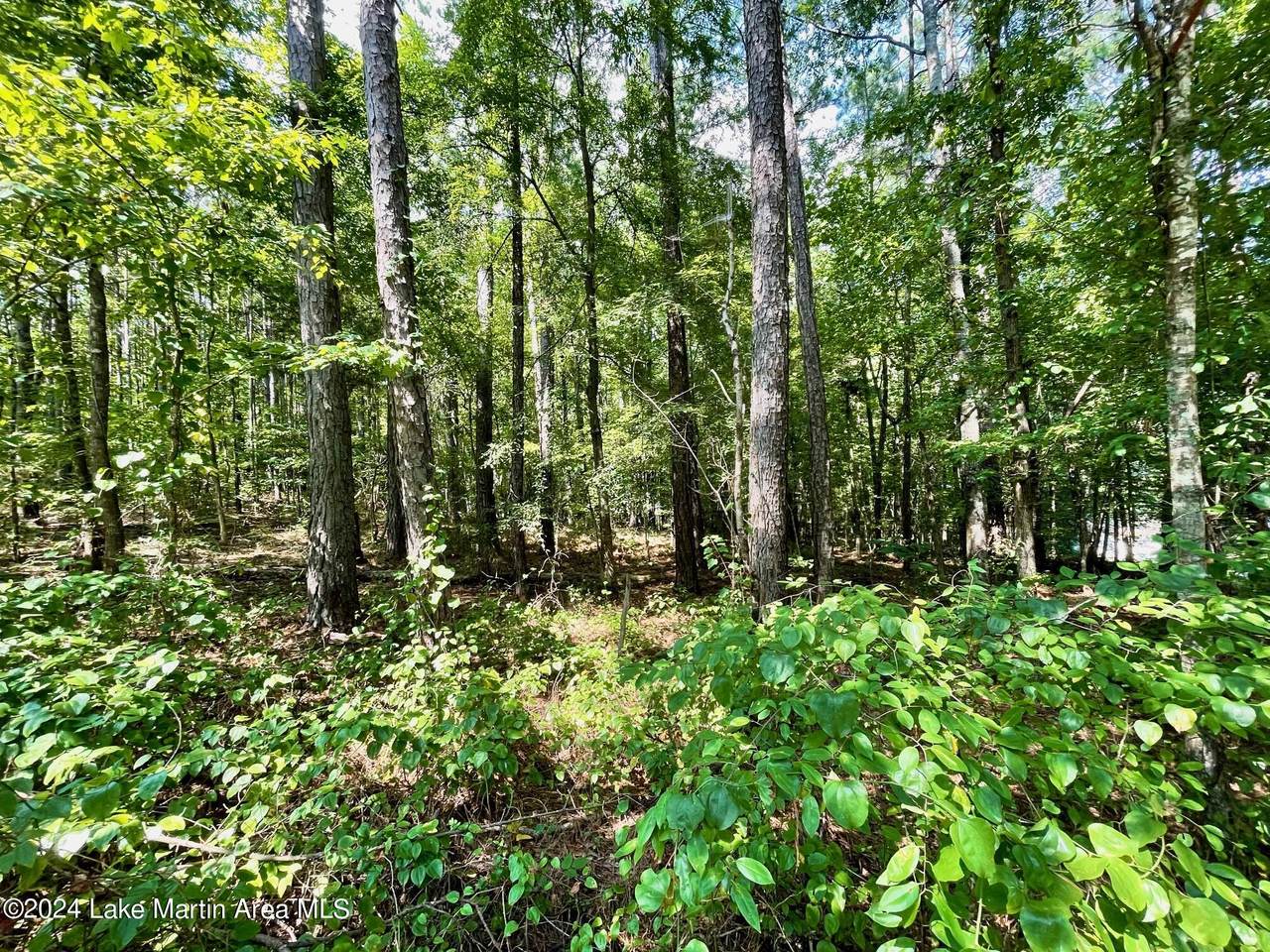 https://bt-photos.global.ssl.fastly.net/lakemartin/1280_boomver_1_24-1036-2.jpg