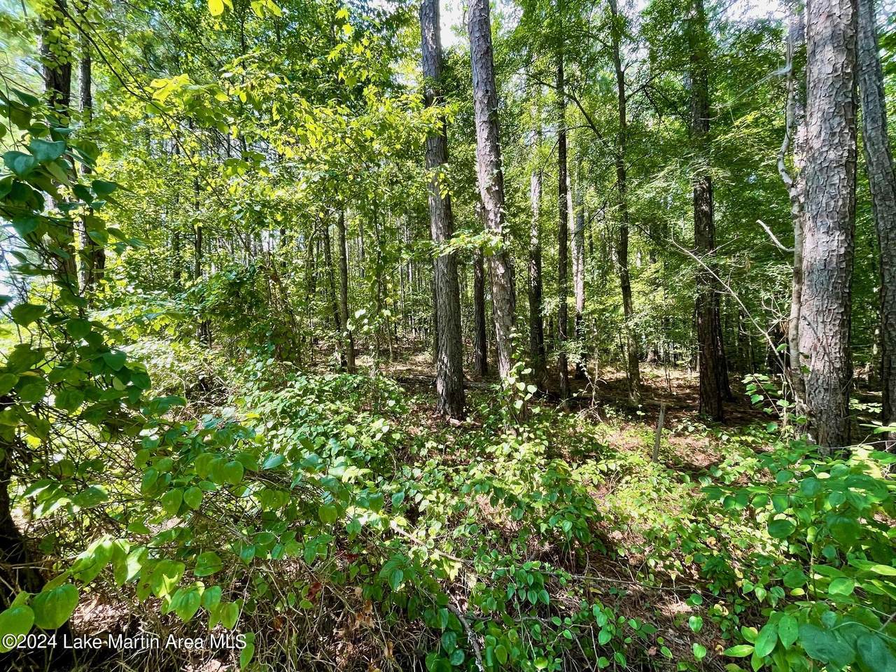 https://bt-photos.global.ssl.fastly.net/lakemartin/1280_boomver_1_24-1036-2.jpg