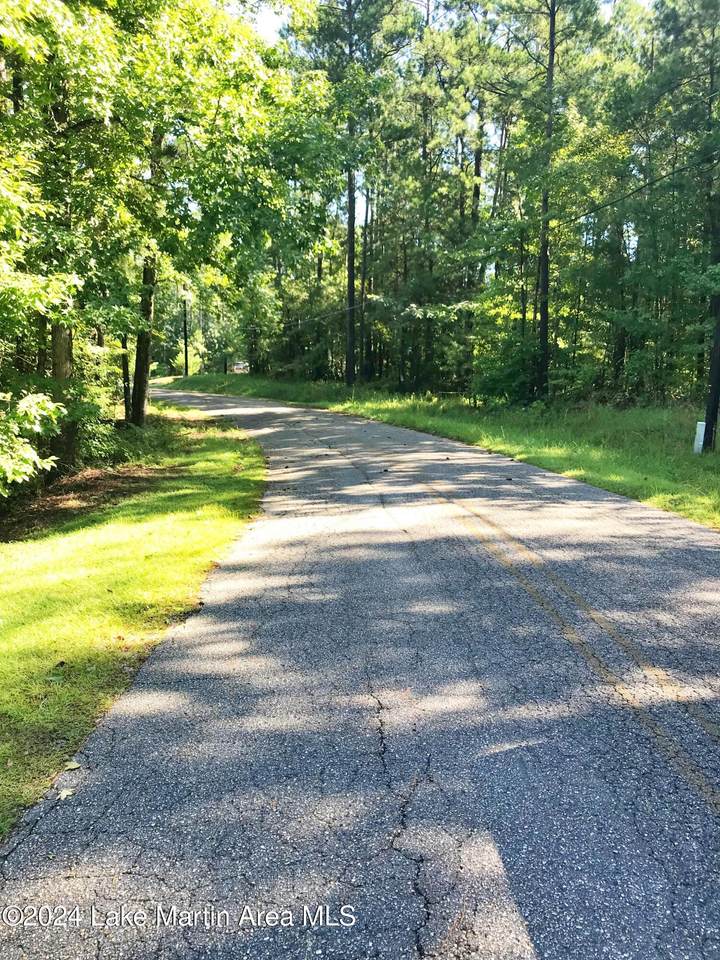 Lot 9 & 10 Andrew Jackson Road Rd - Photo 1