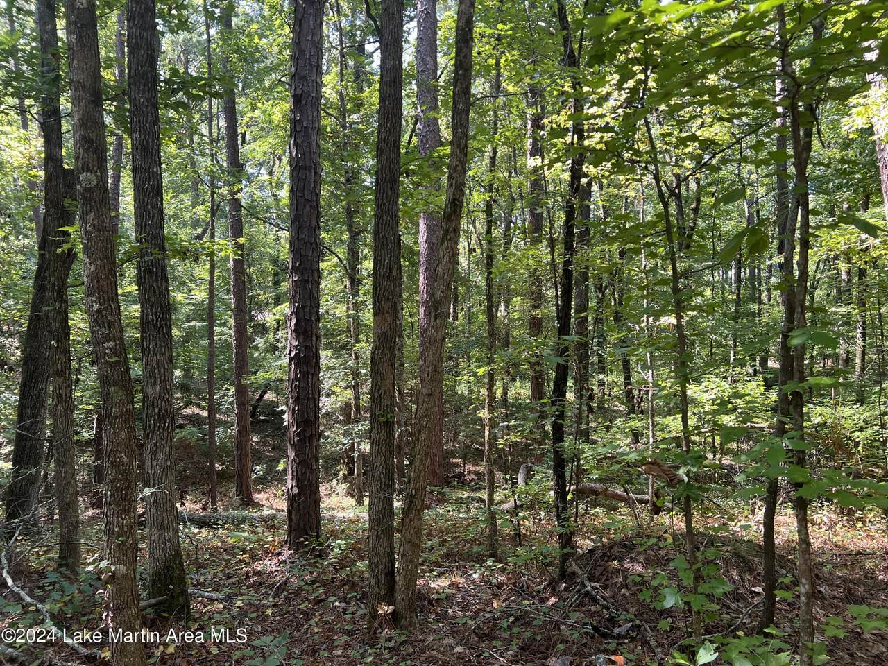 Lot 91 Tall Pine Pl - Photo 1