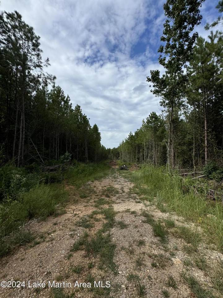 https://bt-photos.global.ssl.fastly.net/lakemartin/1280_boomver_1_24-1166-2.jpg
