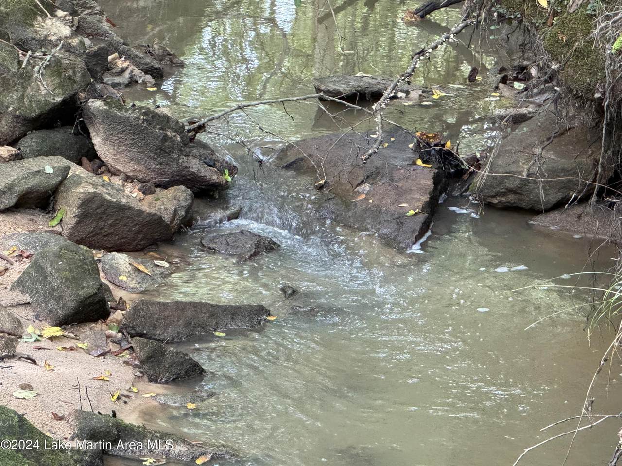 19+/- Acre Sasser Rd - Photo 1