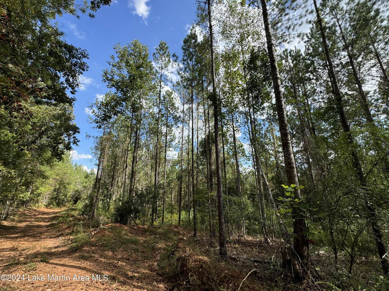 https://bt-photos.global.ssl.fastly.net/lakemartin/1280_boomver_2_24-1277-2.jpg