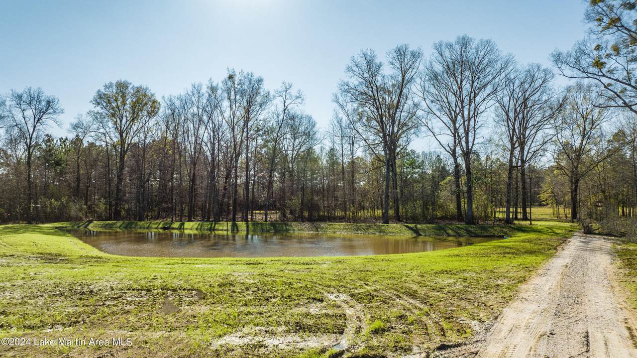 https://bt-photos.global.ssl.fastly.net/lakemartin/1280_boomver_1_24-1325-2.jpg