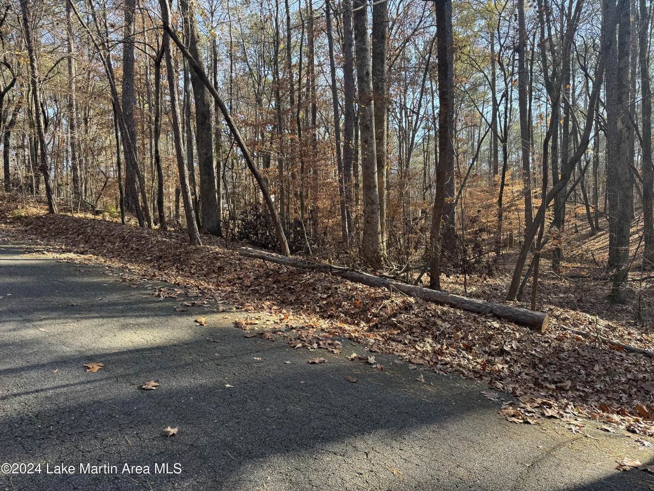 Lot 92 Tall Pine Pl - Photo 1