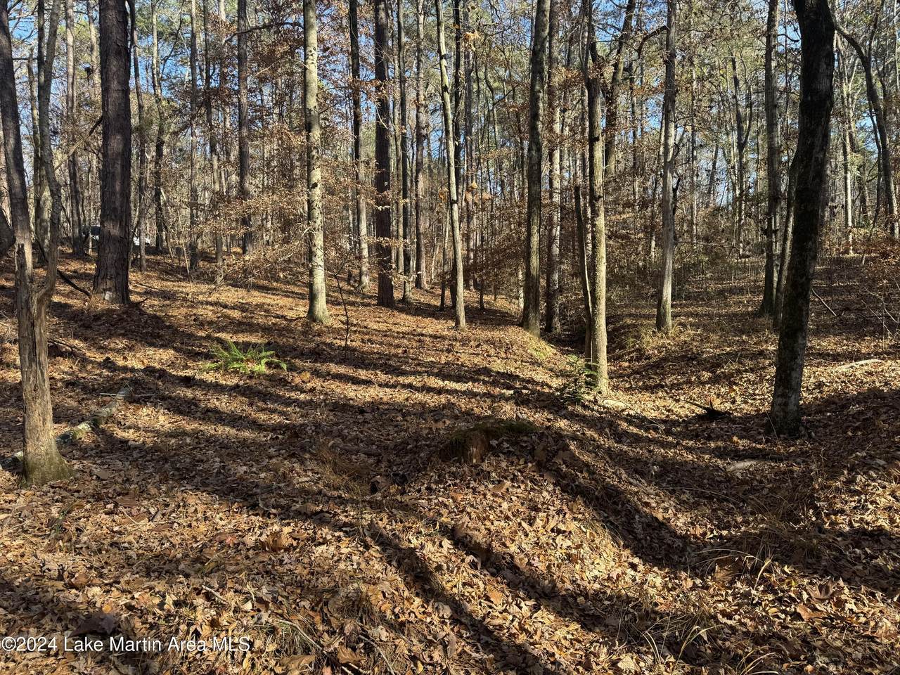 https://bt-photos.global.ssl.fastly.net/lakemartin/1280_boomver_1_24-1439-2.jpg