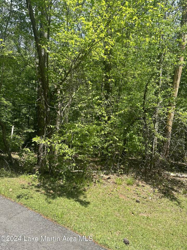https://bt-photos.global.ssl.fastly.net/lakemartin/1280_boomver_1_24-444-2.jpg