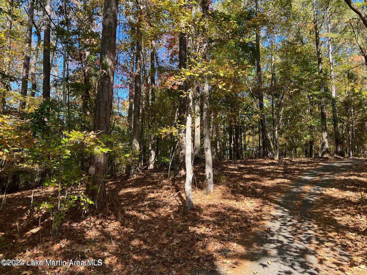 Lot 17 Birdie Run Rd - Photo 1
