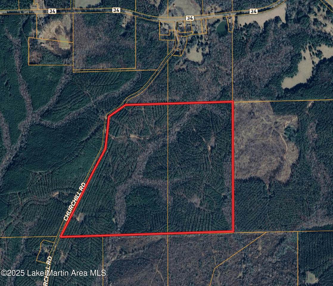 178.71+/- Ac Churchill Rd - Photo 1