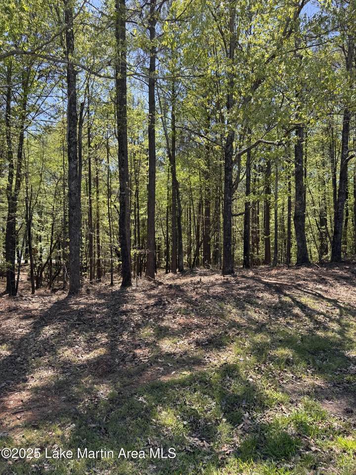  24A Larkspur Ln - Photo 1