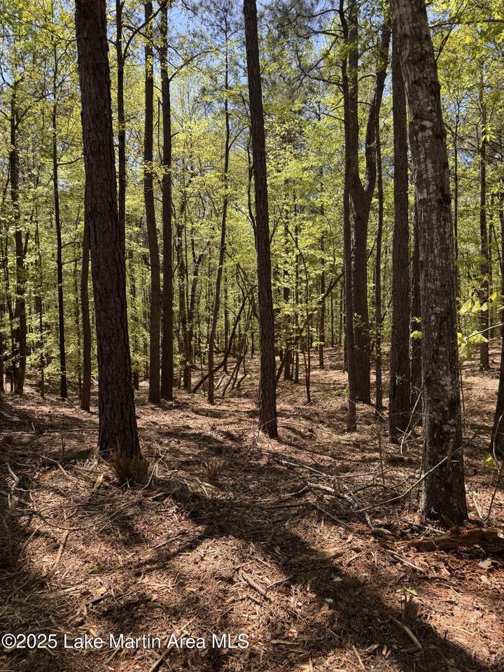 https://bt-photos.global.ssl.fastly.net/lakemartin/1280_boomver_1_25-1581-2.jpg