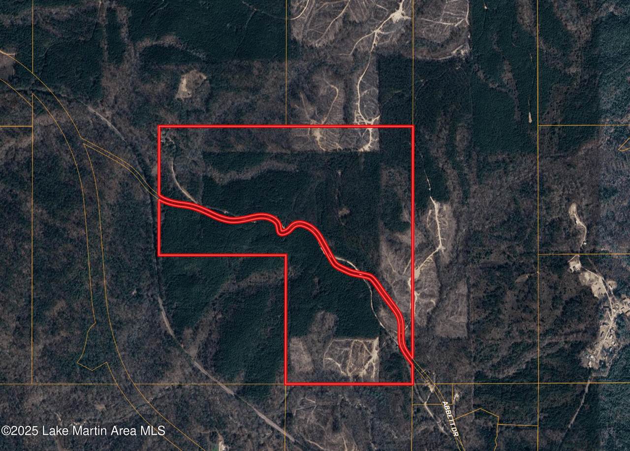 120+/-ac Abbett Dr - Photo 1