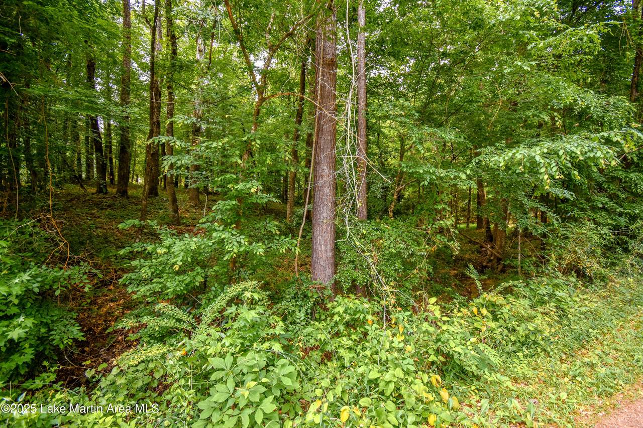 https://bt-photos.global.ssl.fastly.net/lakemartin/1280_boomver_1_25-1685-2.jpg