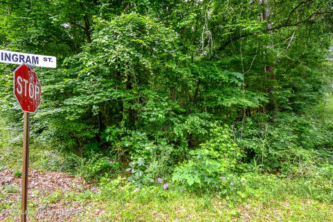 https://bt-photos.global.ssl.fastly.net/lakemartin/1280_boomver_1_25-1685-2.jpg