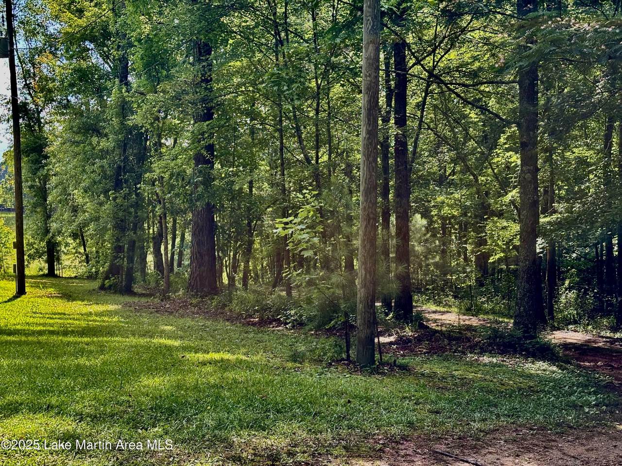 https://bt-photos.global.ssl.fastly.net/lakemartin/1280_boomver_1_25-1857-2.jpg