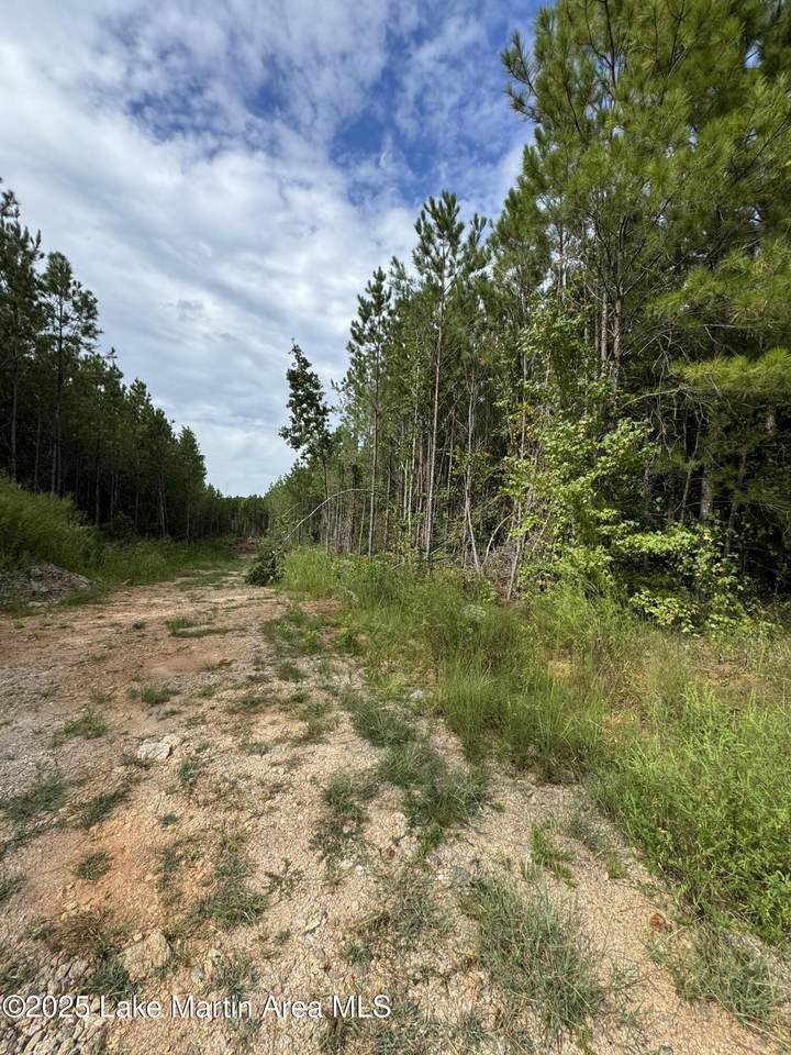 County Road 34 Parcel A - Photo 1