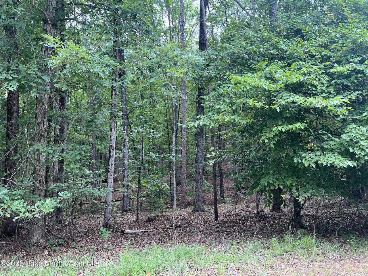 Lot 20 Vista Wood Dr - Photo 1