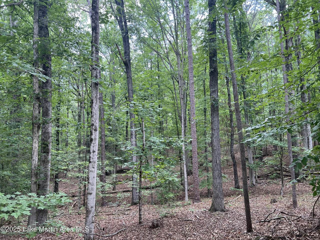 https://bt-photos.global.ssl.fastly.net/lakemartin/1280_boomver_1_25-1939-2.jpg