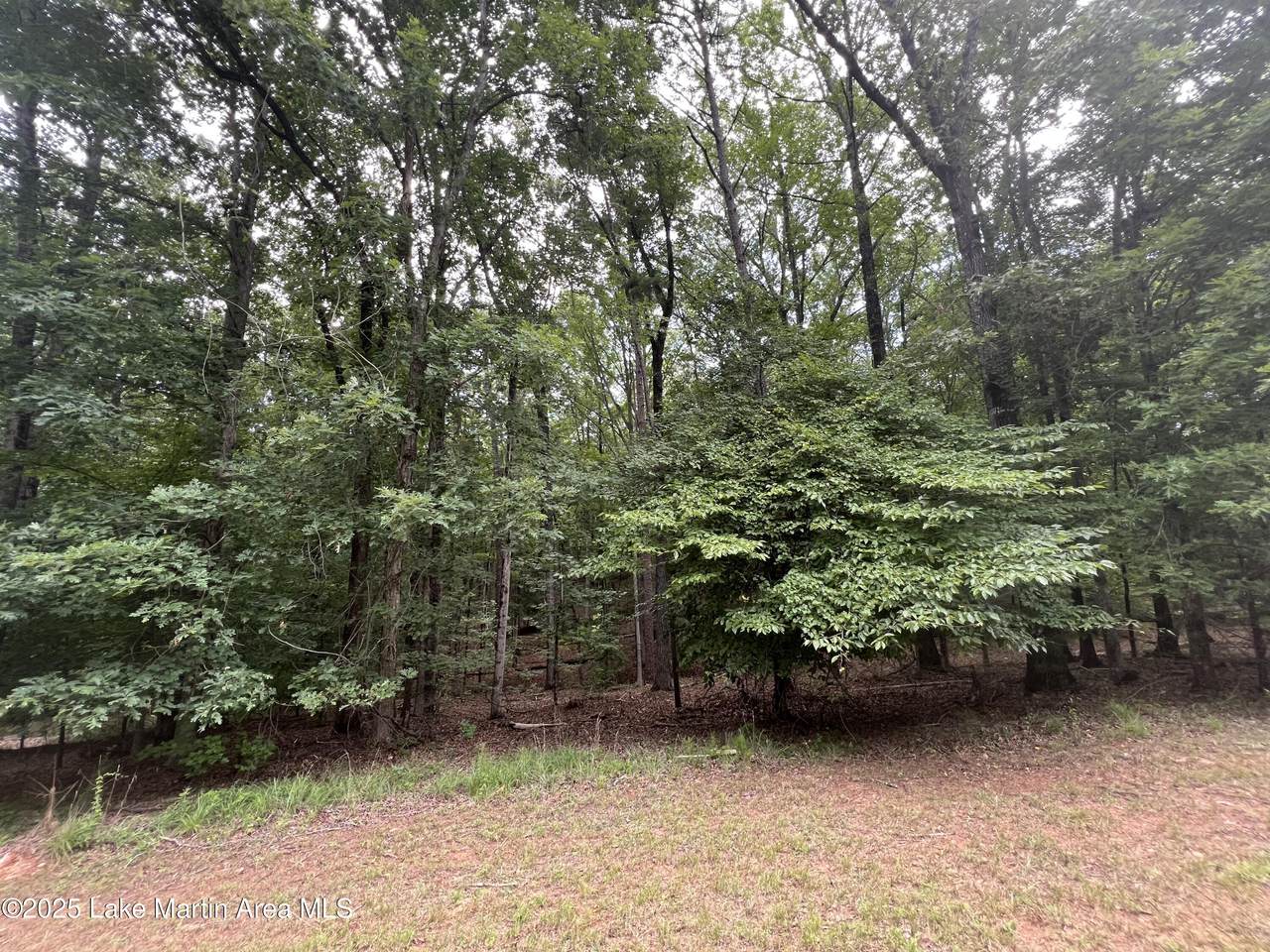https://bt-photos.global.ssl.fastly.net/lakemartin/1280_boomver_1_25-1939-2.jpg