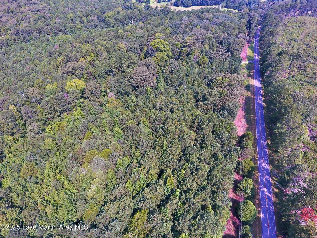  +/- 60 Acres Coosa County Rd 5 - Photo 1