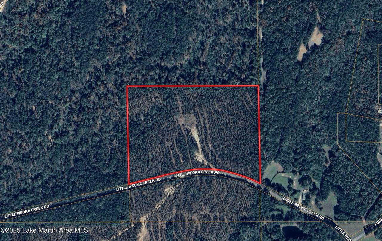 25+/-AC Little Weoka Creek Rd - Photo 1