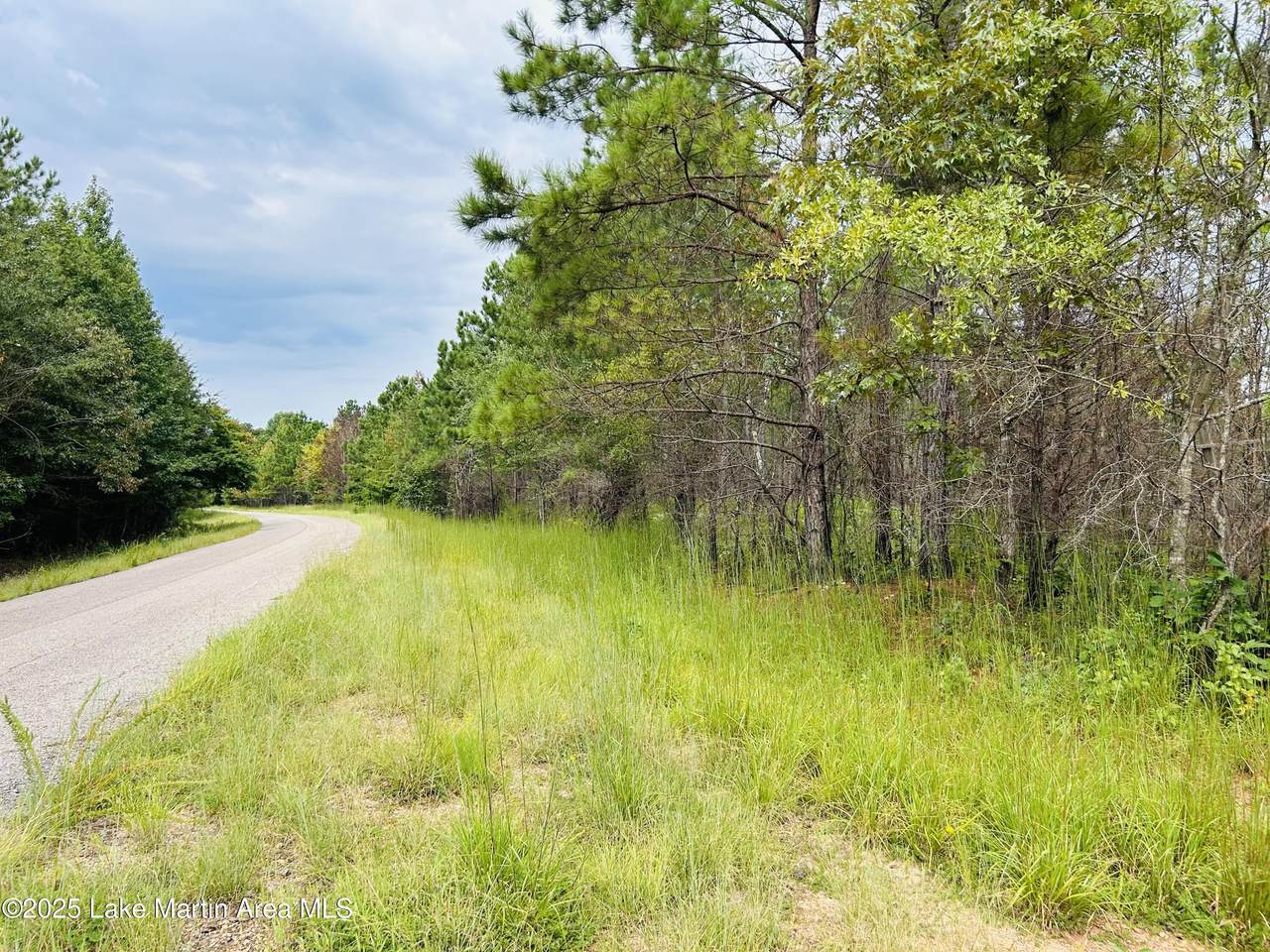 https://bt-photos.global.ssl.fastly.net/lakemartin/1280_boomver_1_25-2141-2.jpg