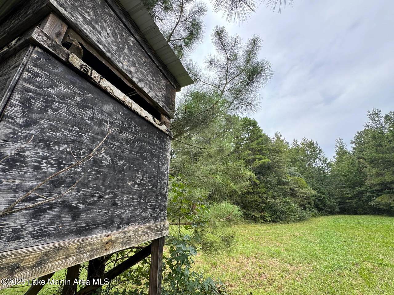 43+/-AC Cragford Rd - Photo 1