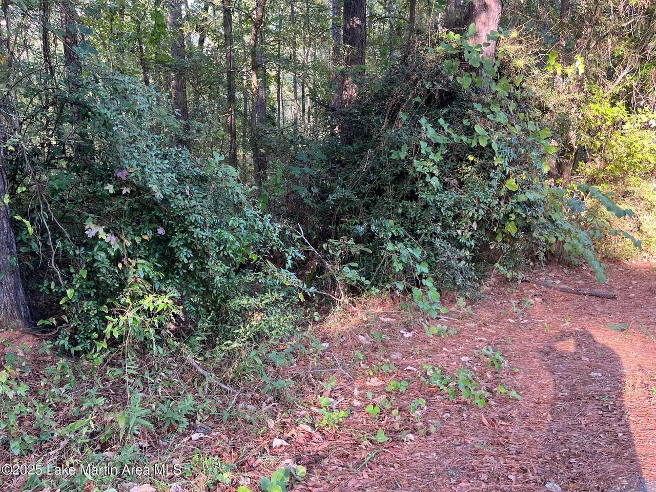 https://bt-photos.global.ssl.fastly.net/lakemartin/1280_boomver_1_25-2323-2.jpg