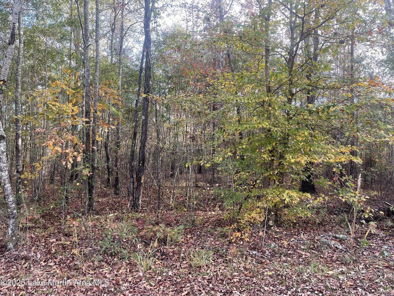  3.2 Acres Sessions Rd - Photo 1